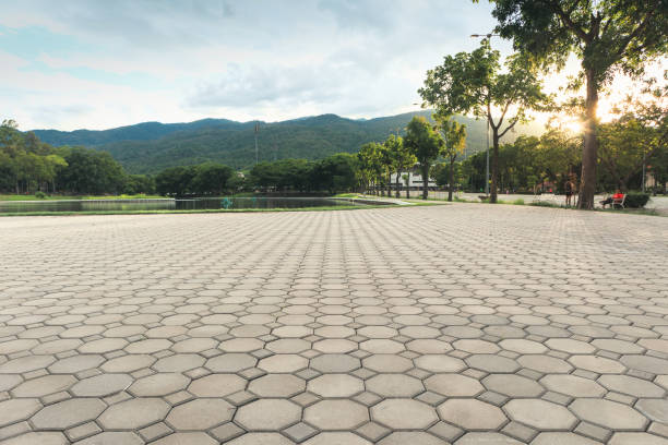 Best Driveway Paving Contractor  in Staunton, VA